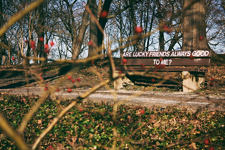 Are butterflies having fun?