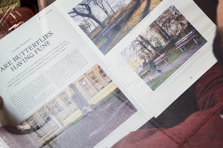 Are butterflies having fun?